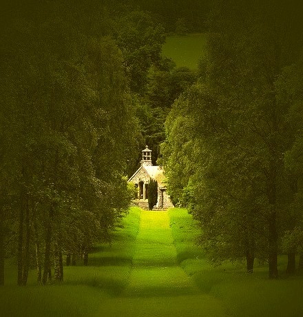 Summer Green, Botanical Gardens, Peebles, Scotland