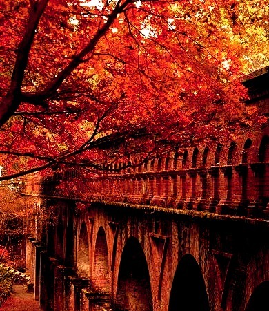Autumn Arches, Japan
