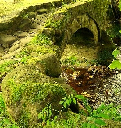 Ancient Moss Bridge, The Highlands, Scotland